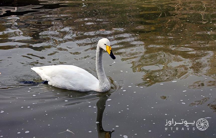 ?Is Tehran Bird Garden open